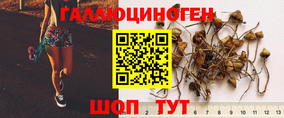 Галлюциногенные грибы Magic Shrooms  Псилоцибиновые грибы мухоморы  Строитель  Вход с VPN 