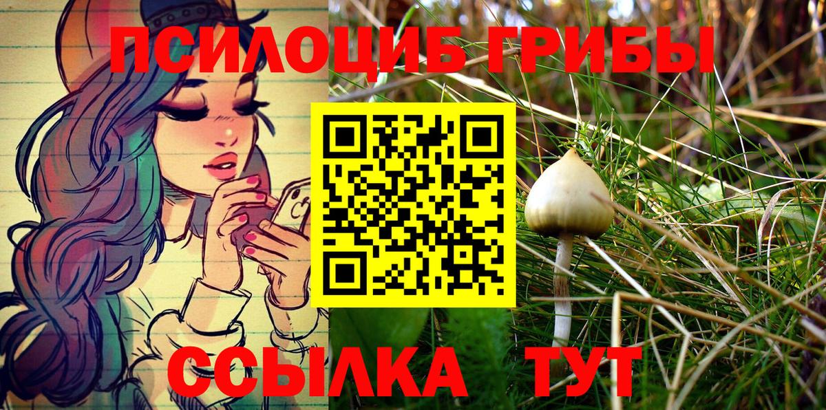 Псилоцибиновые грибы мухоморы Строитель
